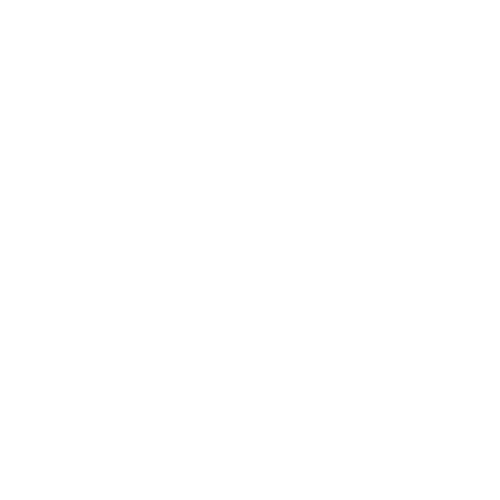 Computer Point Logo
